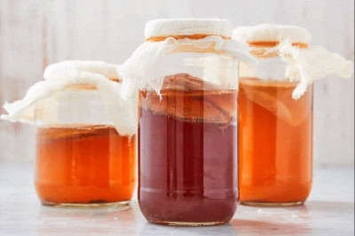 Menikmati Kombucha dengan Beragam Manfaat Kesehatannya