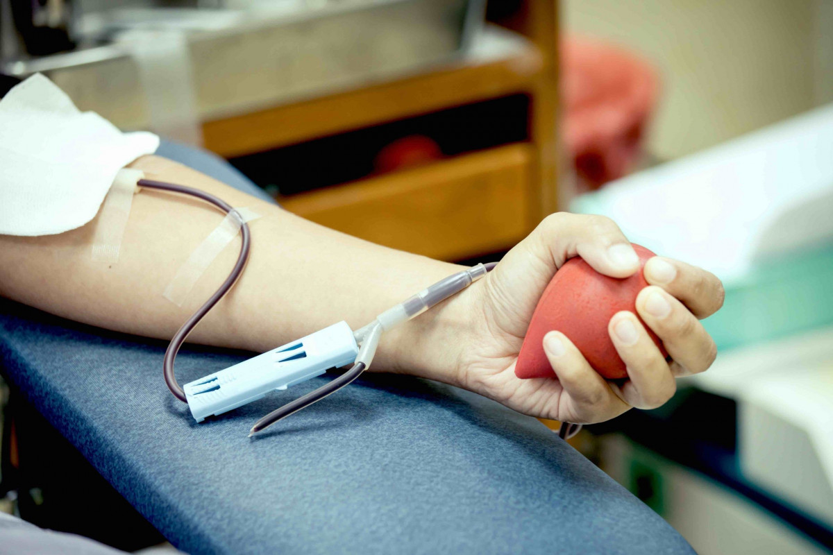 donor darah