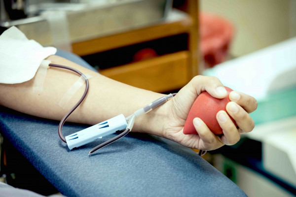 donor darah