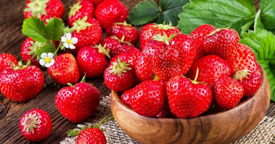 4 Manfaat Kesehatan Buah Stroberi
