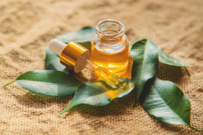 Apakah Minyak Pohon Teh Aman Dalam Meringankan Gejala Psoriasis?